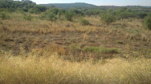 Foto 2 de Terreno en venta en C/ Barrio Industrial, Ribesalbes, Castellón