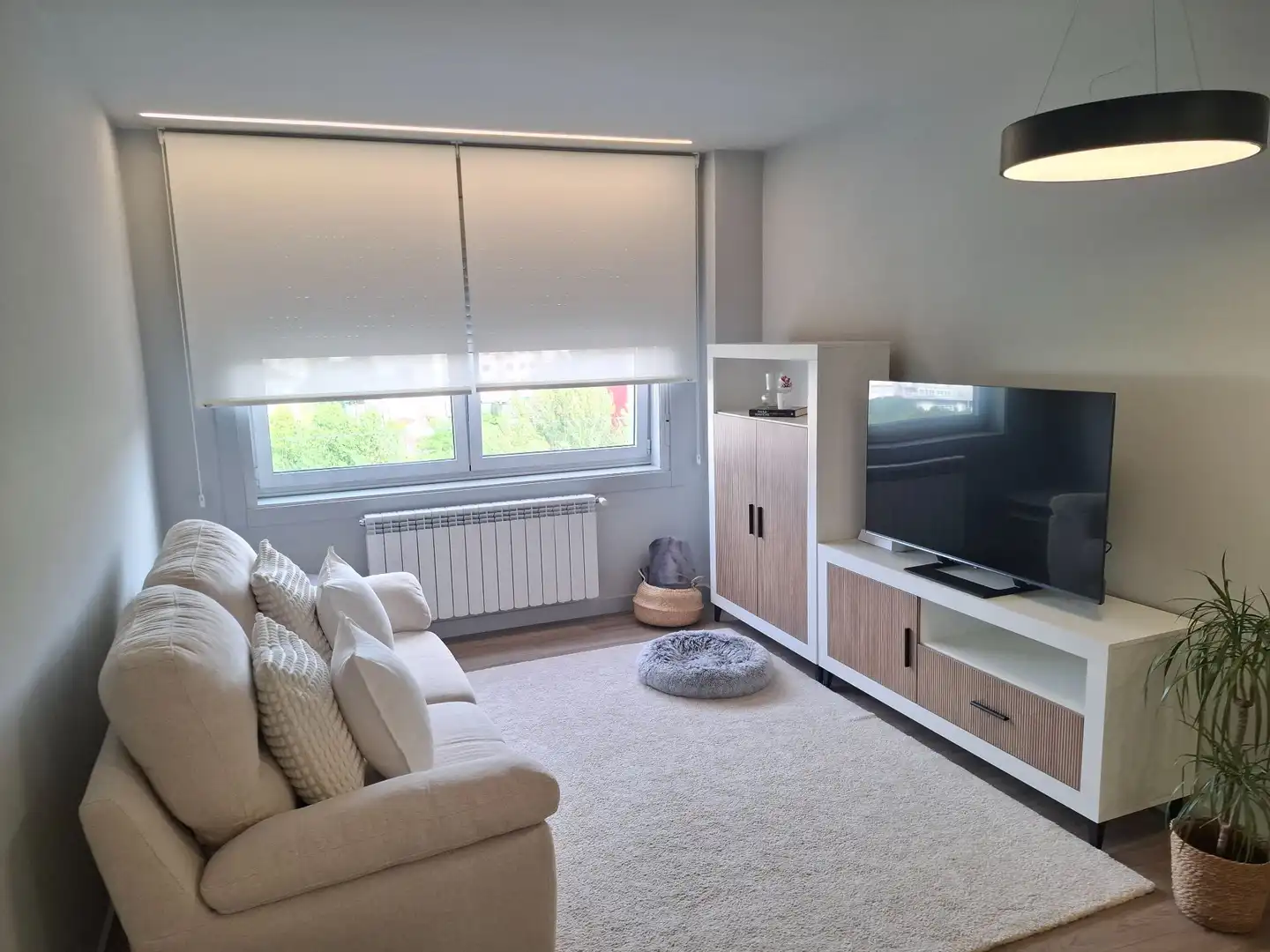 Sala de estar de Apartamento de alquiler en Ourense Capital  con Calefacción, Trastero y Amueblado