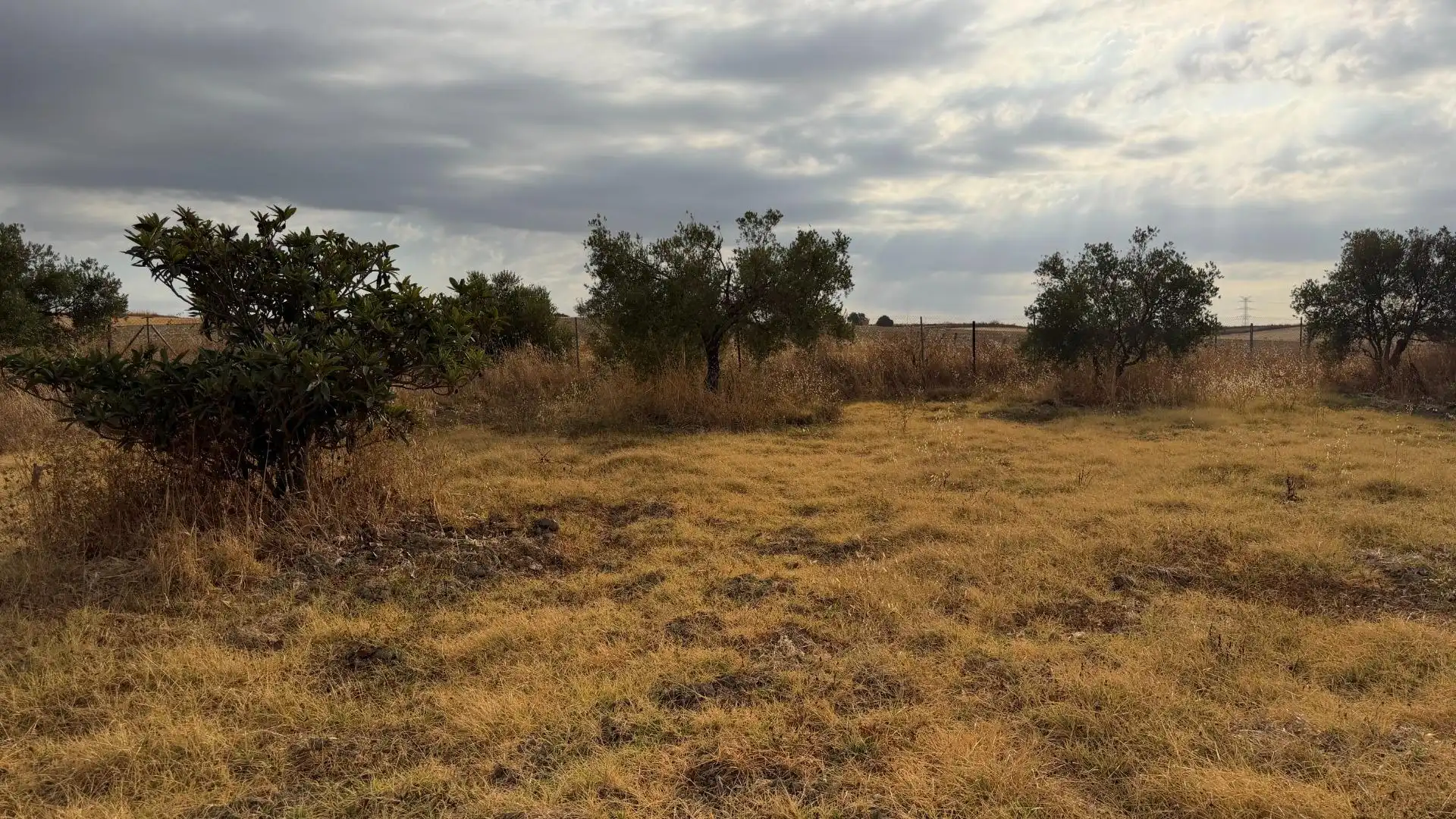 Country homes for sale in Trigueros, Huelva