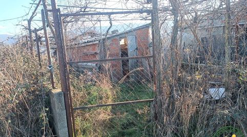 Se vende finca rustica con caseta en Bembibre, image 2