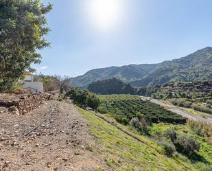 Exterior view of House or chalet for sale in Málaga Capital  with Private garden, Terrace and Balcony