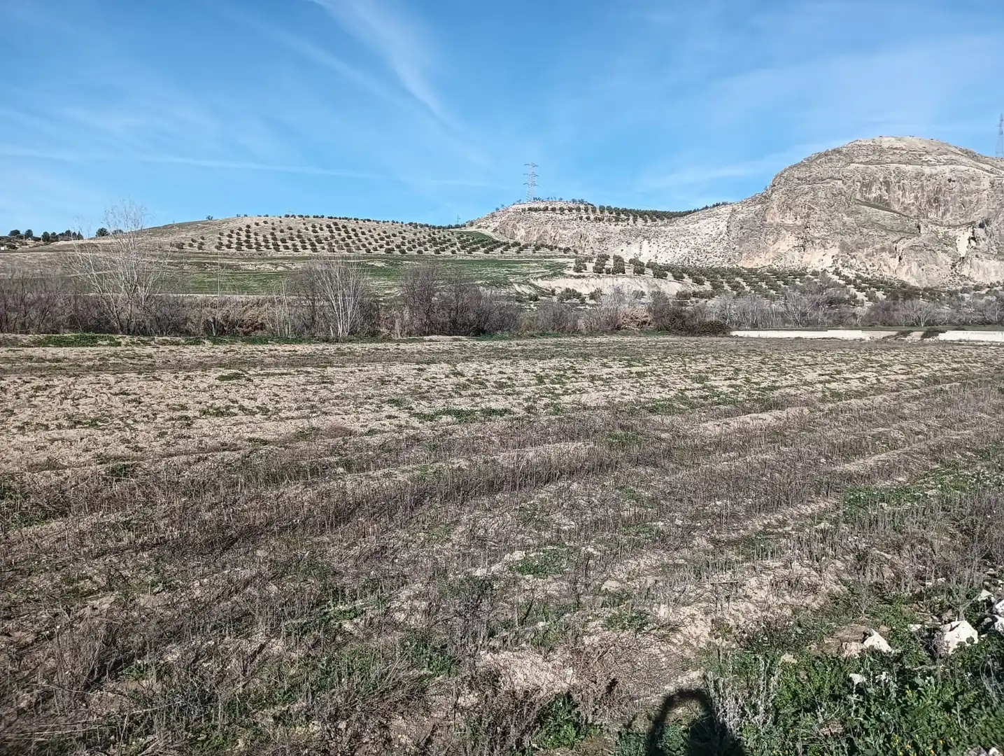 Rural land for sale in Carretera Pinos Puente