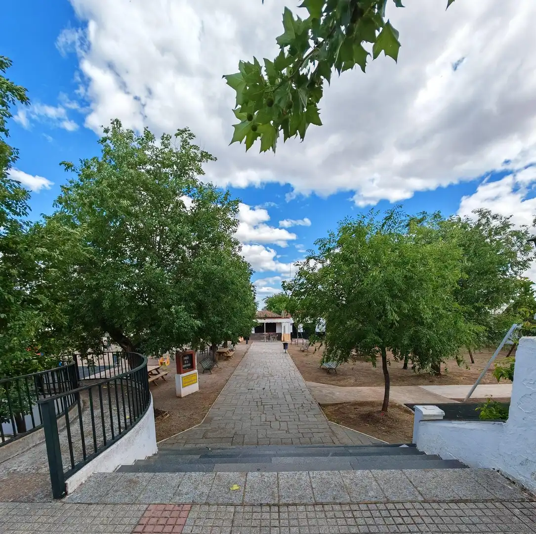 Vista exterior de Casa o chalet en venta en Puebla del Prior con Jardín privado