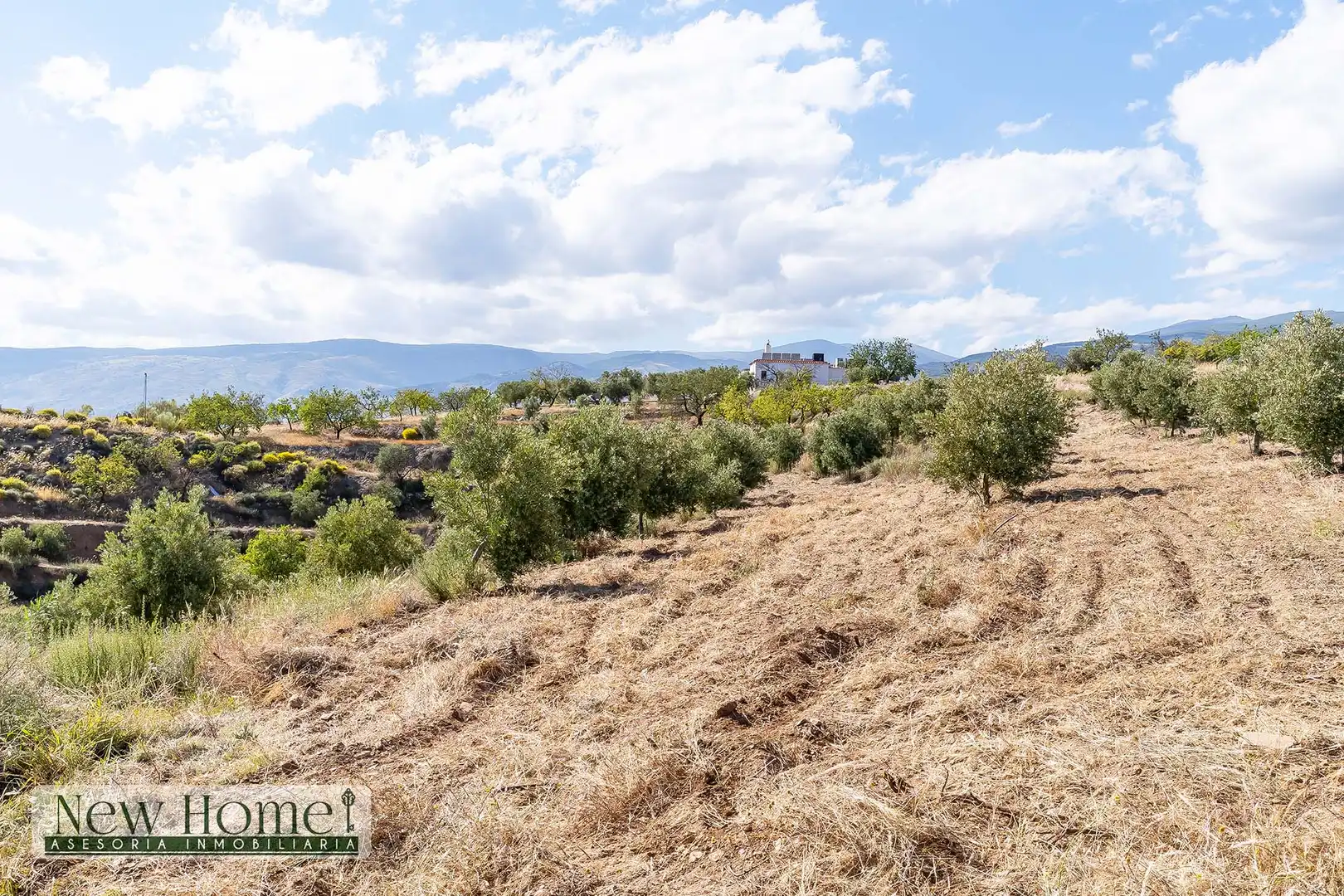 Finca rústica en venta en Ugíjar