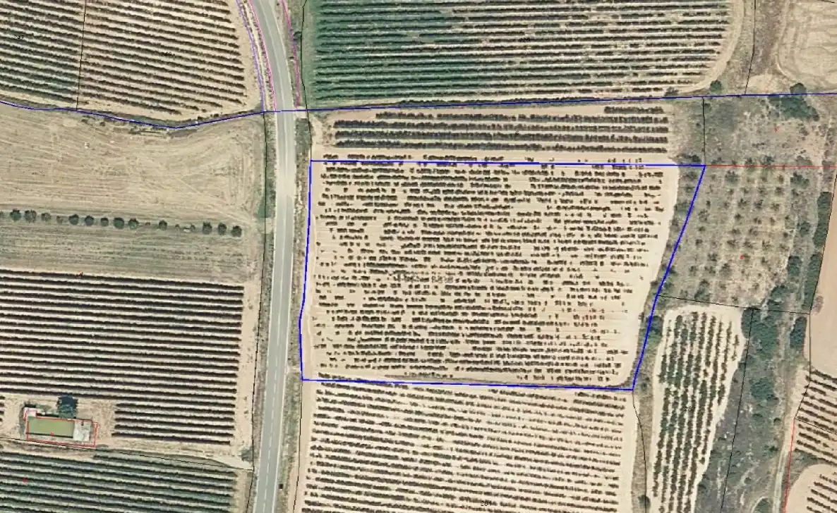 Rural land for sale in Clavijo, imagen 3
