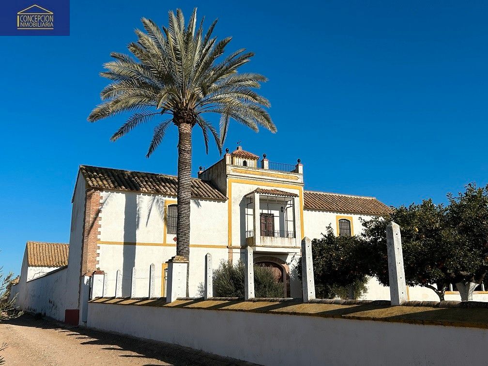 Exterior view of Building for sale in Fuente Palmera