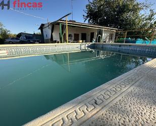 Swimming pool of Country house for sale in Marchena  with Air Conditioner and Swimming Pool