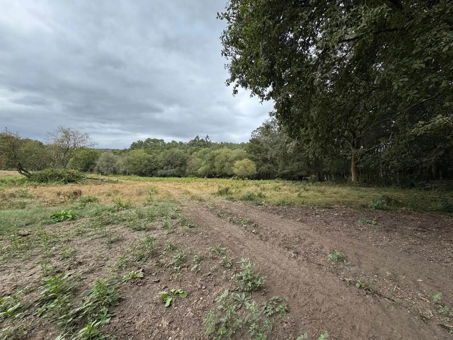 Land for sale in Boborás