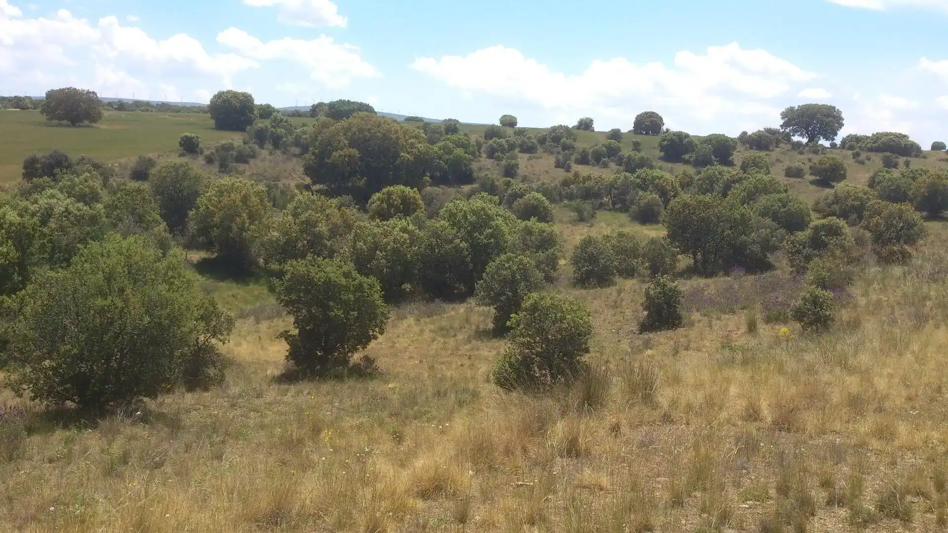 Terreno en venta en Mediana de Voltoya