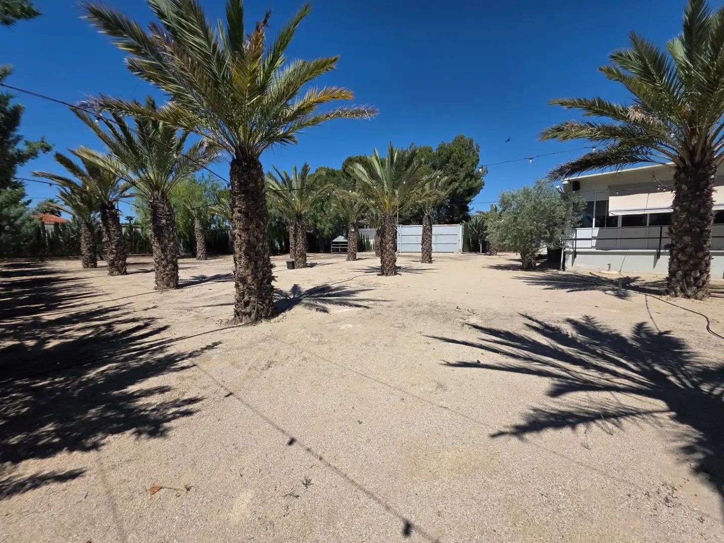 Maison rustique à vendre à Sax, imagen 49