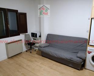 Sala d'estar de Apartament de lloguer en Salamanca Capital amb Balcó