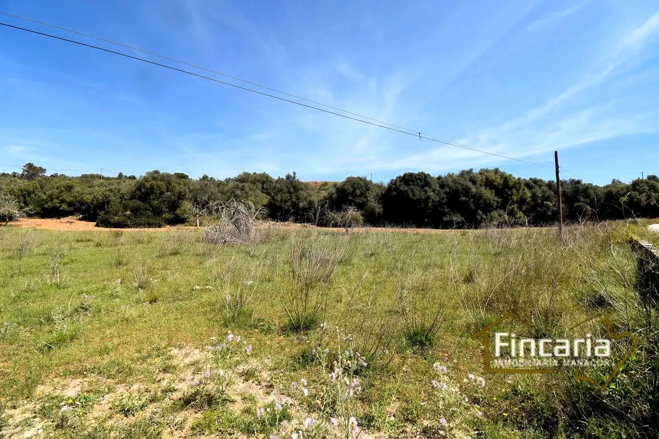 Rural land for sale in De La Torre Nova, imagen 24