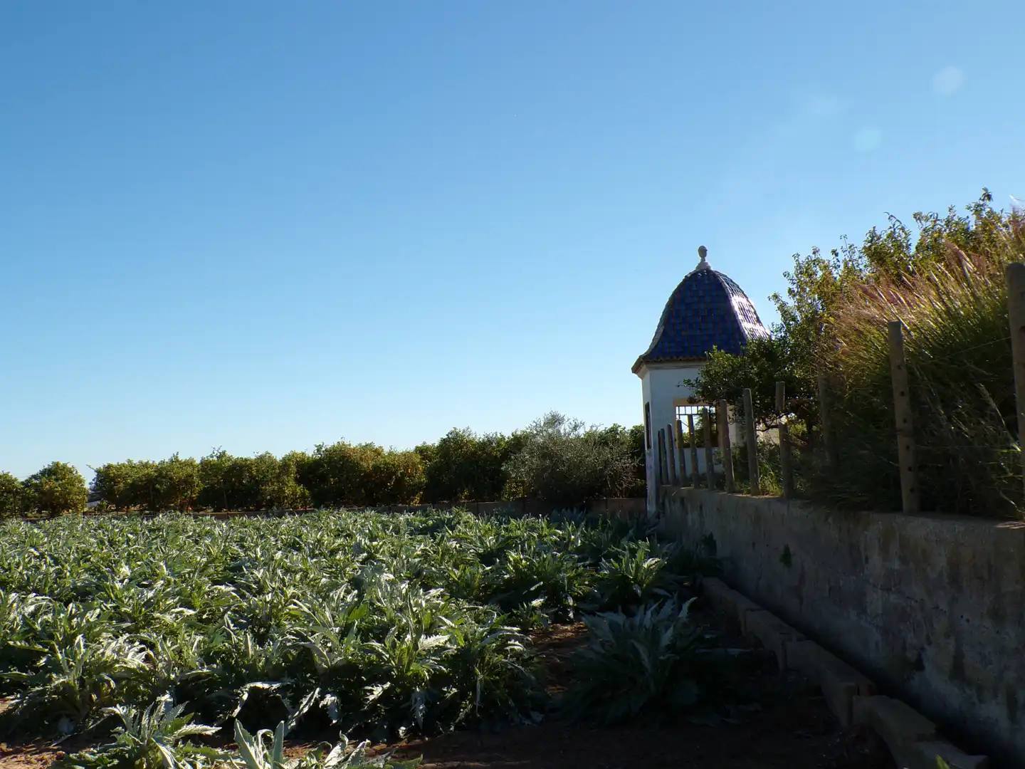 Jardín de Casa adosada en venta en Godella con Jardín privado