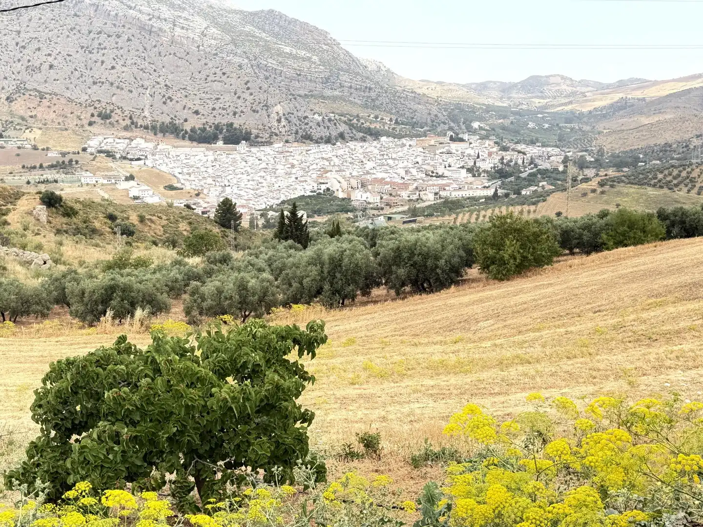 Exterior view of Country homes for sale in Valle de Abdalajís  with Air Conditioner, Heating and Private garden