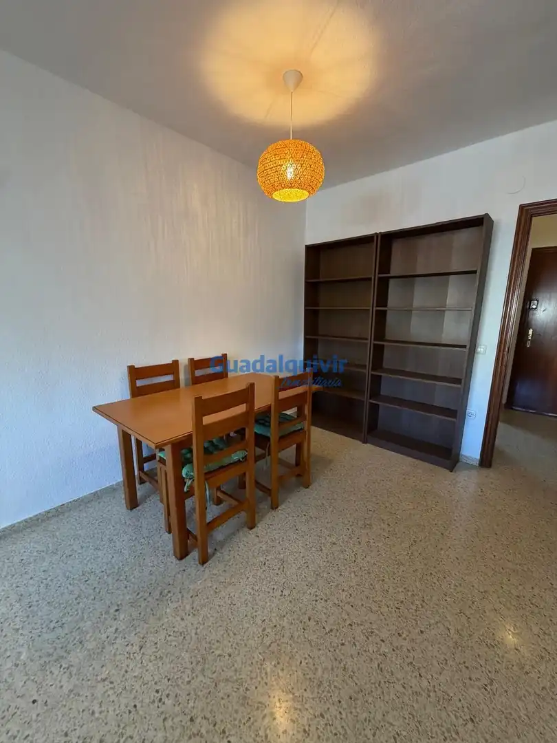 Wohnung zur Miete in Avenida de Europa
