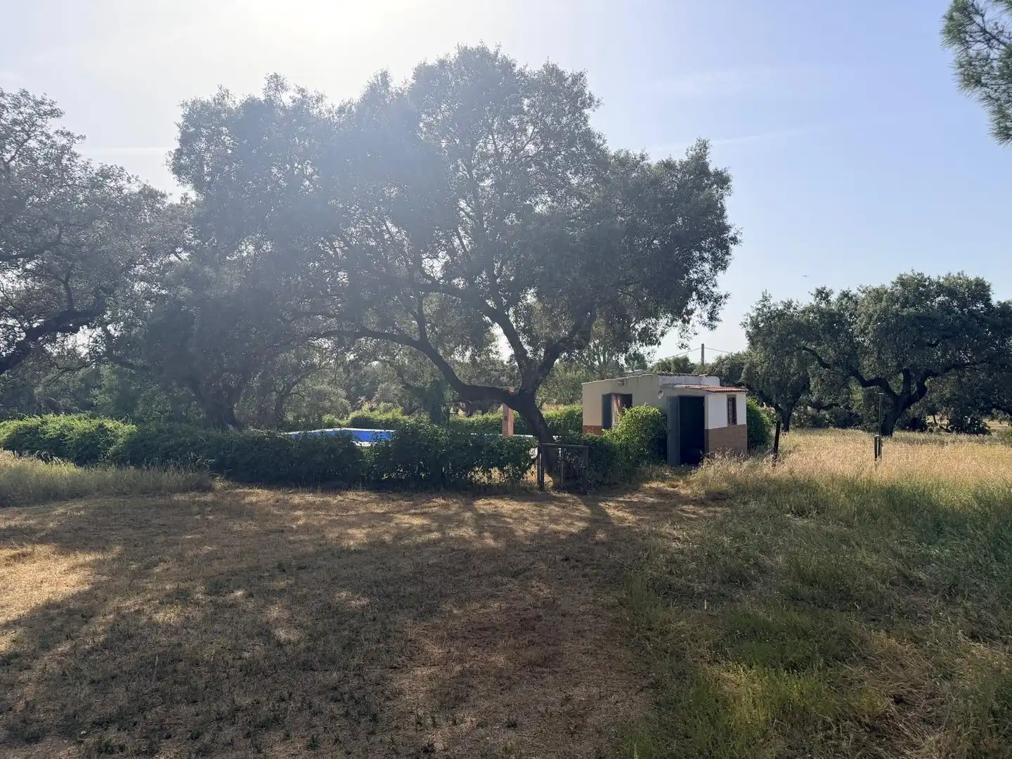 Casa o chalet en venta en Badajoz con Jardín privado, Terraza y Piscina