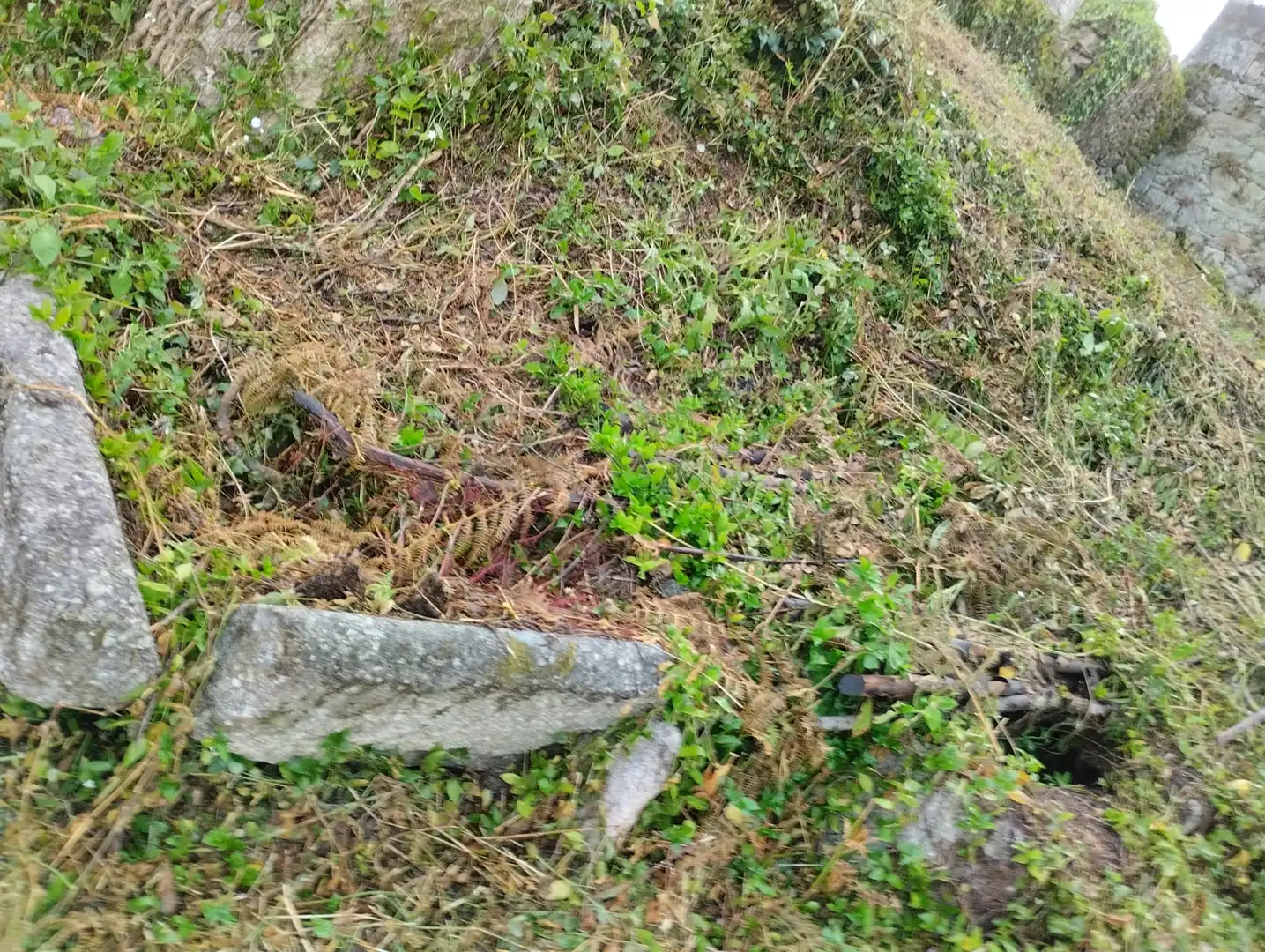 Finca rústica en venta en Moraña