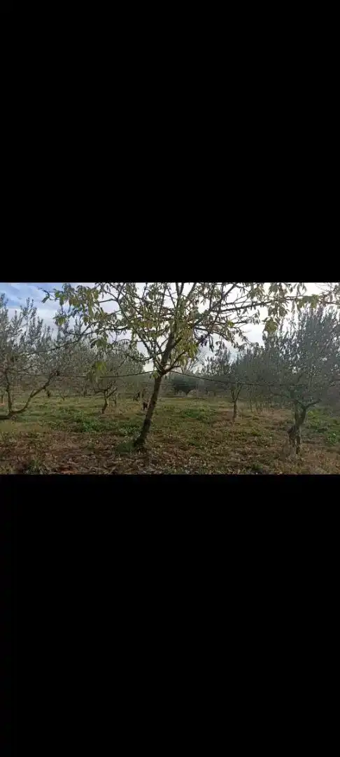 Terreno en venta en Pitillas