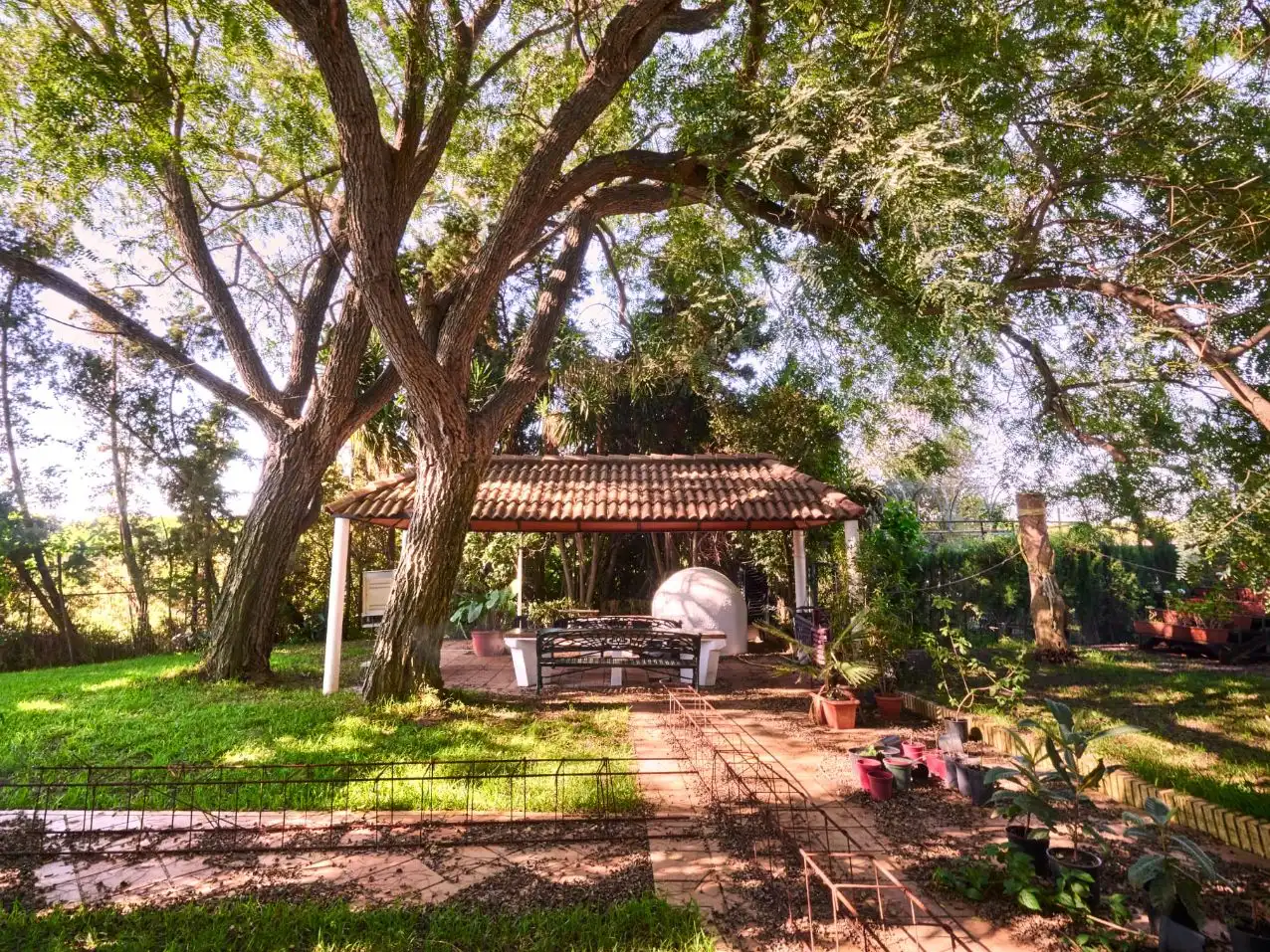Jardí de Casa o xalet en venda en Mazagón