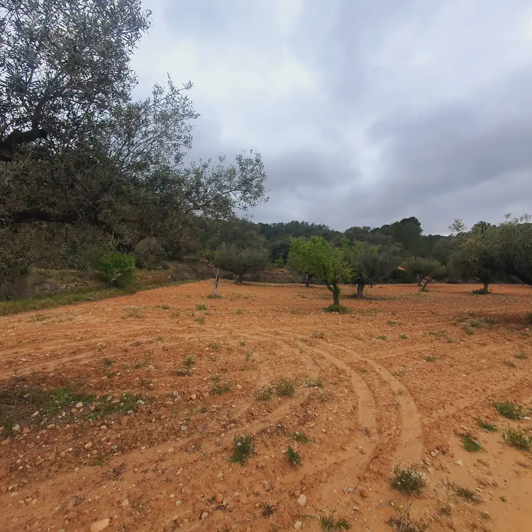 Rustikales Grundstück zum Verkauf in El Pinell de Brai, imagen 14