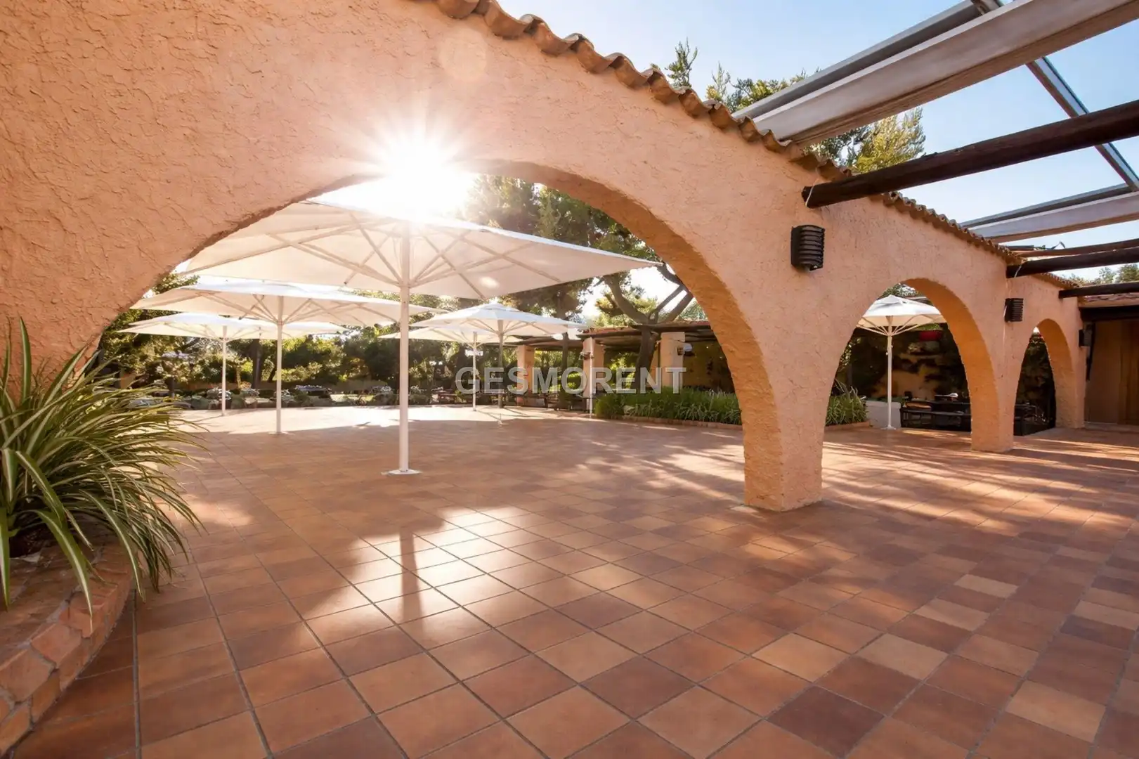 Terraza de Local de alquiler en Pollença