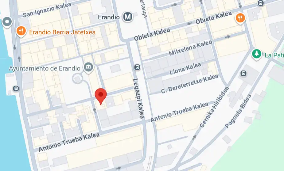 Flat with lift for sale in Erandio, imagen 4