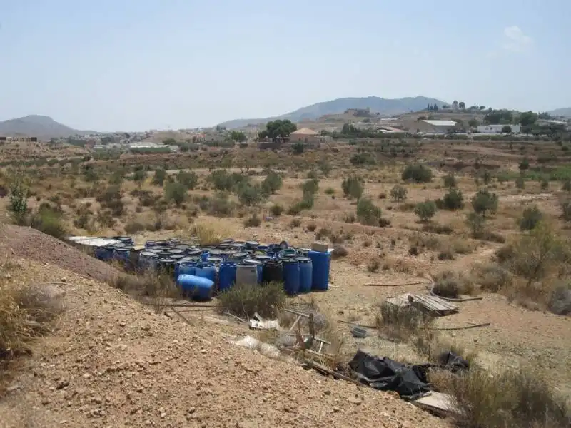 Vista exterior de Finca rústica en venta en Monóvar  / Monòver