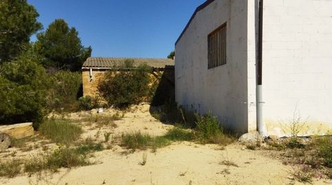 FINCA DE 4,7 HECTÁREAS, LLANA, CON UNA NAVE DE 100 M2 Y DOS CASA DE CAMPO PARA REFORMAR., imatge 3