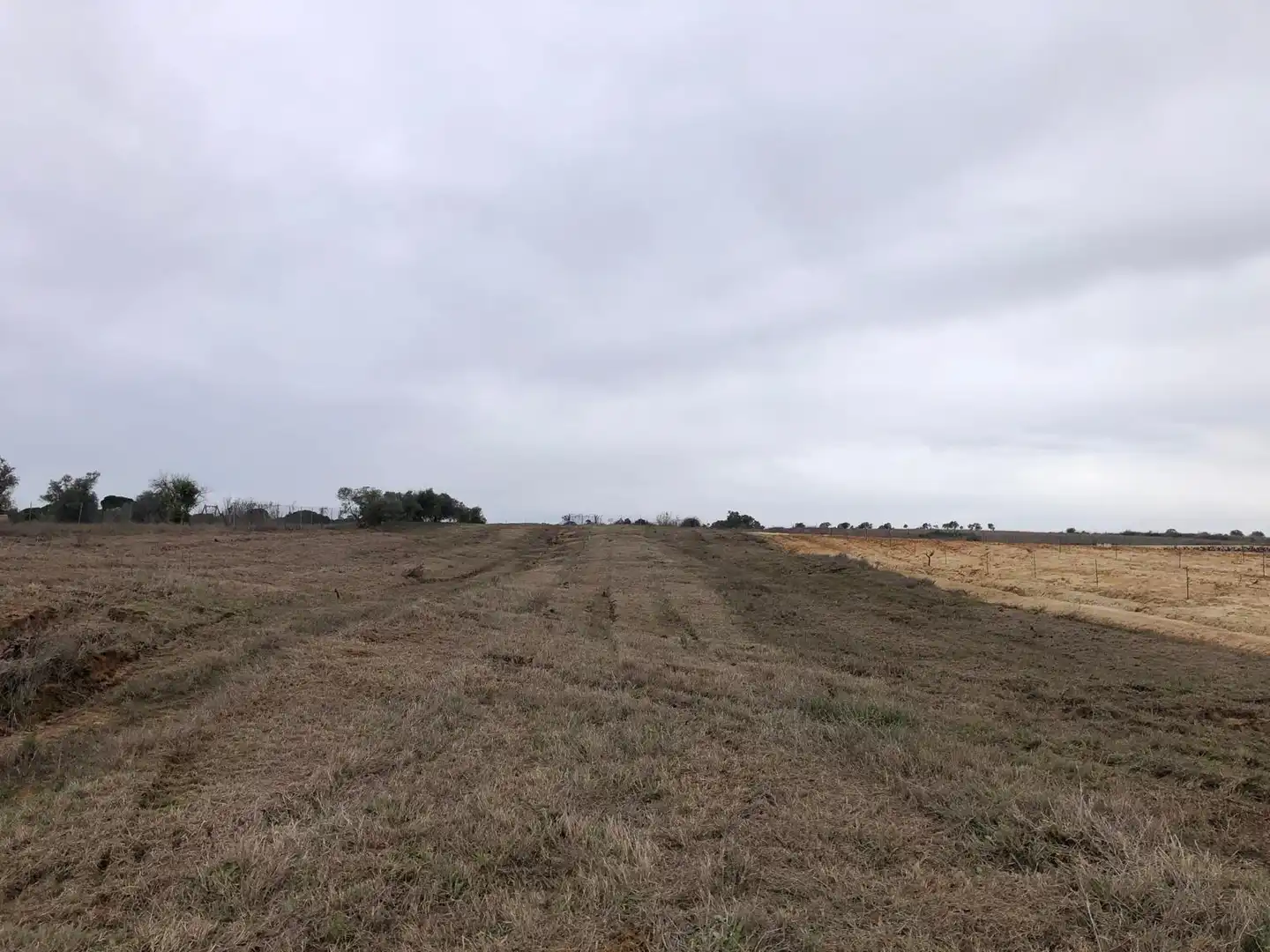 Terreny rústic en venda a CAMINO REMUÑINA, imagen 2