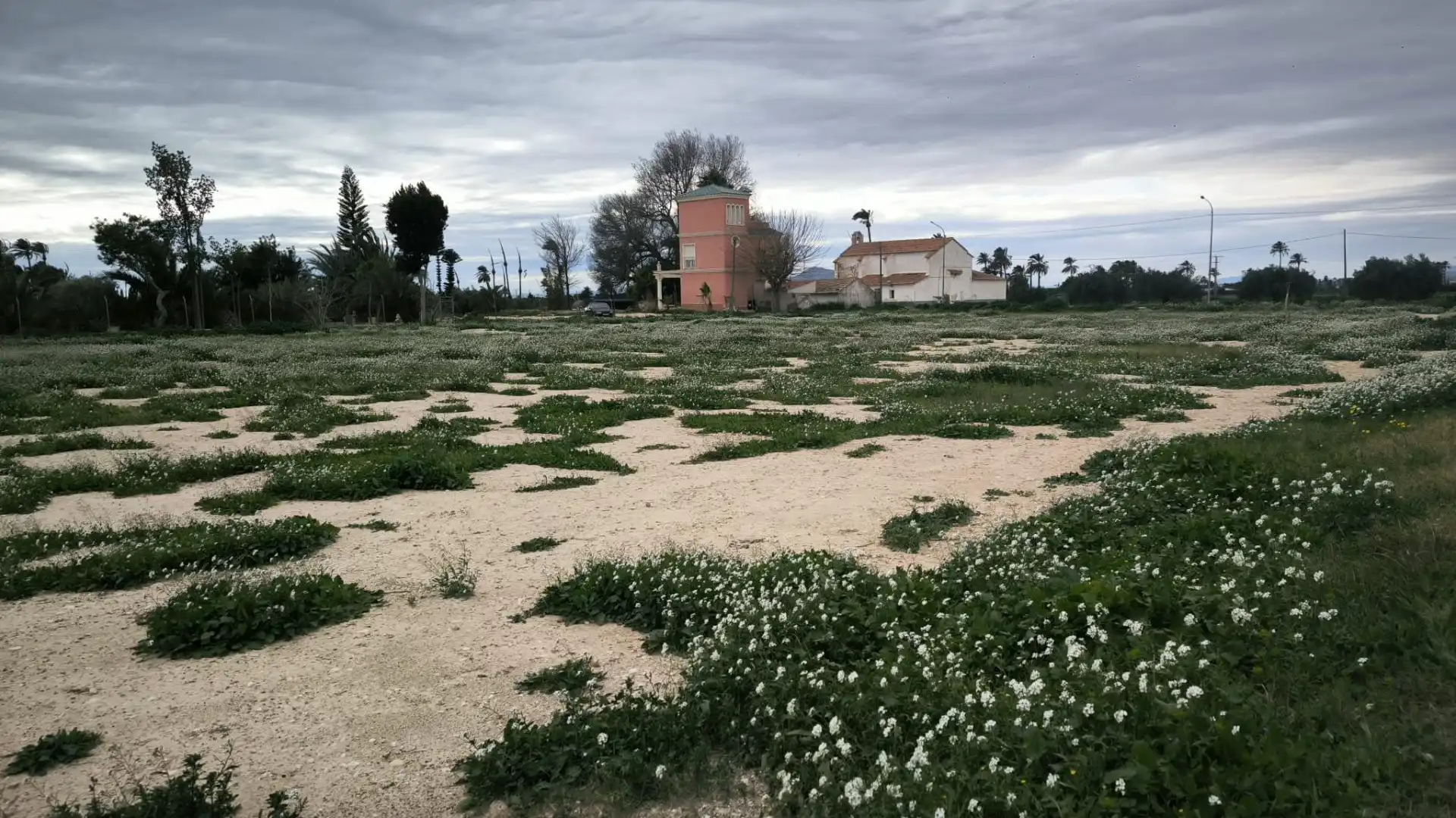 Terreno en venta en Elche / Elx
