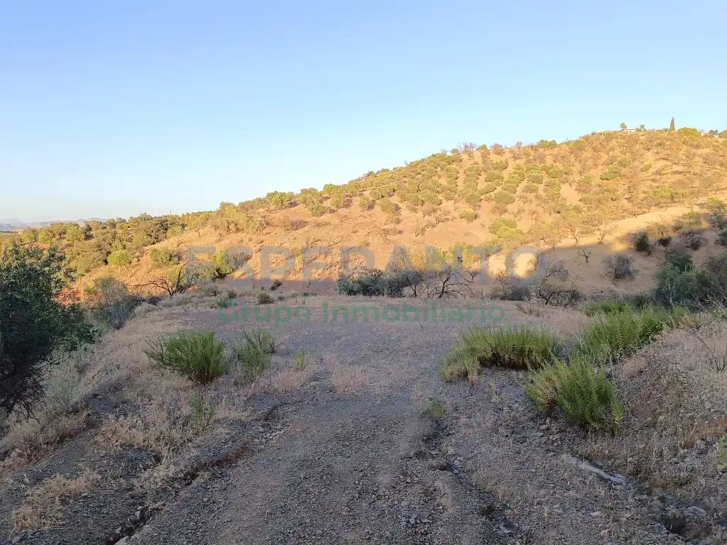 Country homes for sale in Guaro, Málaga