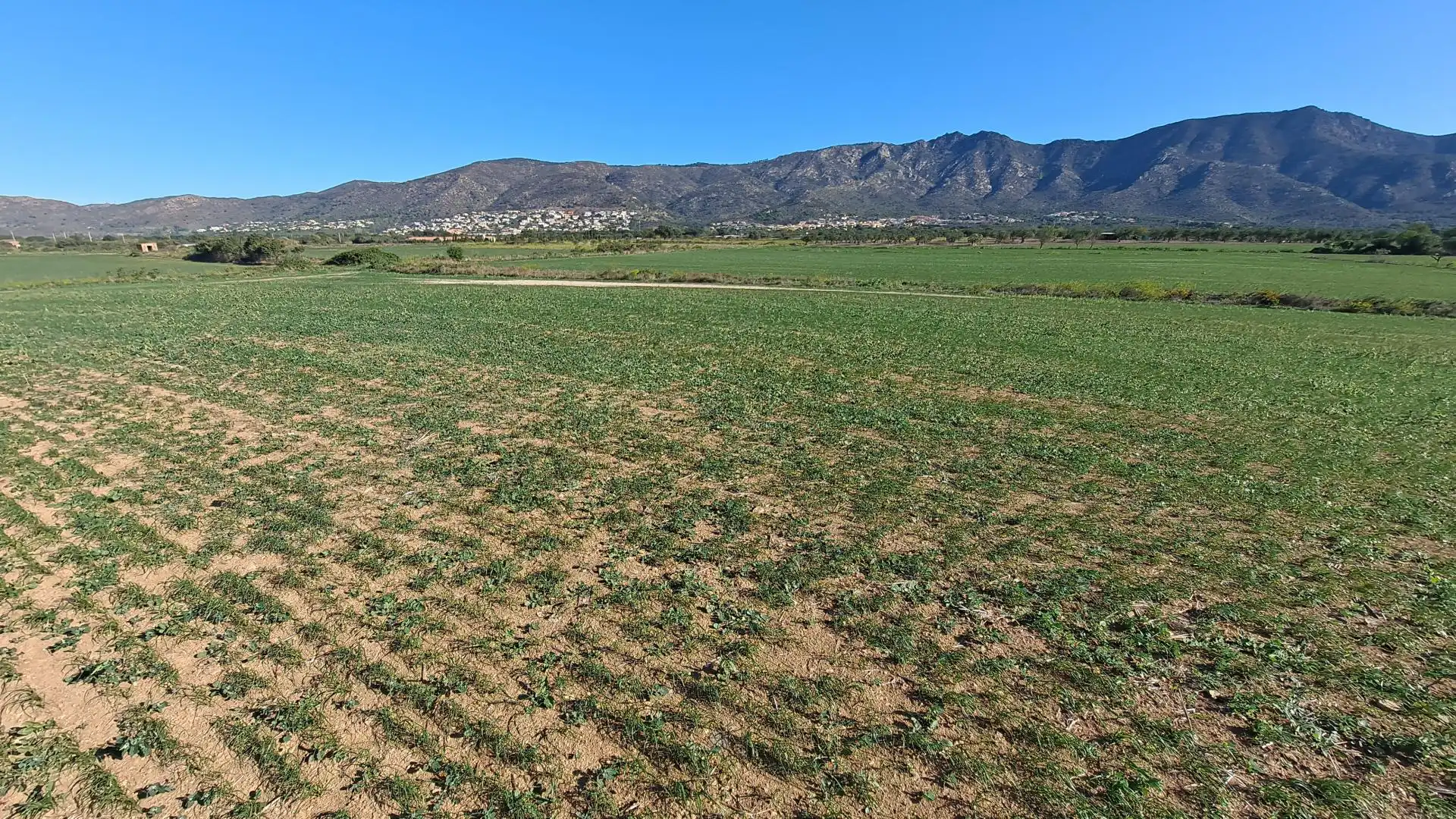 Terrenos y solares en venta en Palau-saverdera