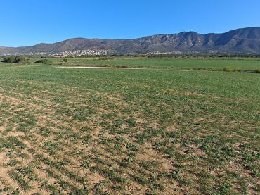 Terrenos y solares en venta en Palau-saverdera
