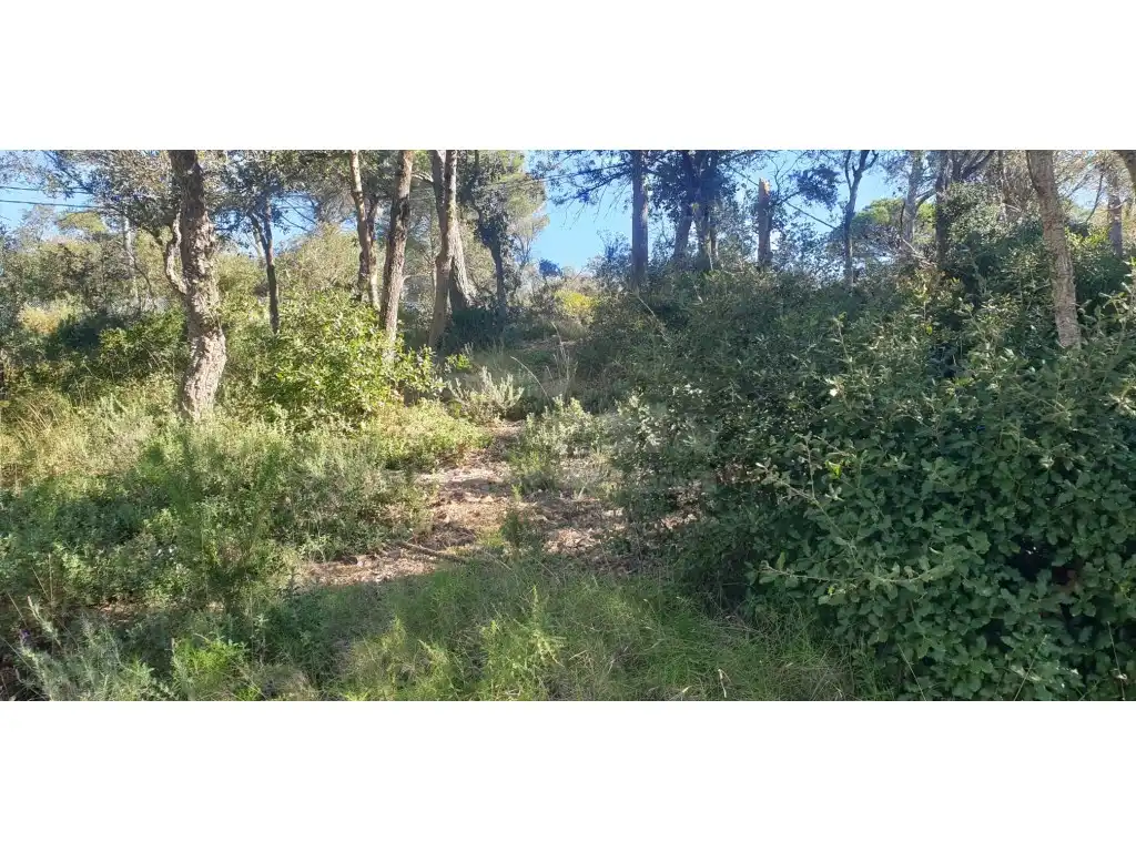 Residential land for sale in Residencial Begur - Esclanyà, imagen 8