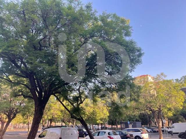 Piso en Venta en La Oliva