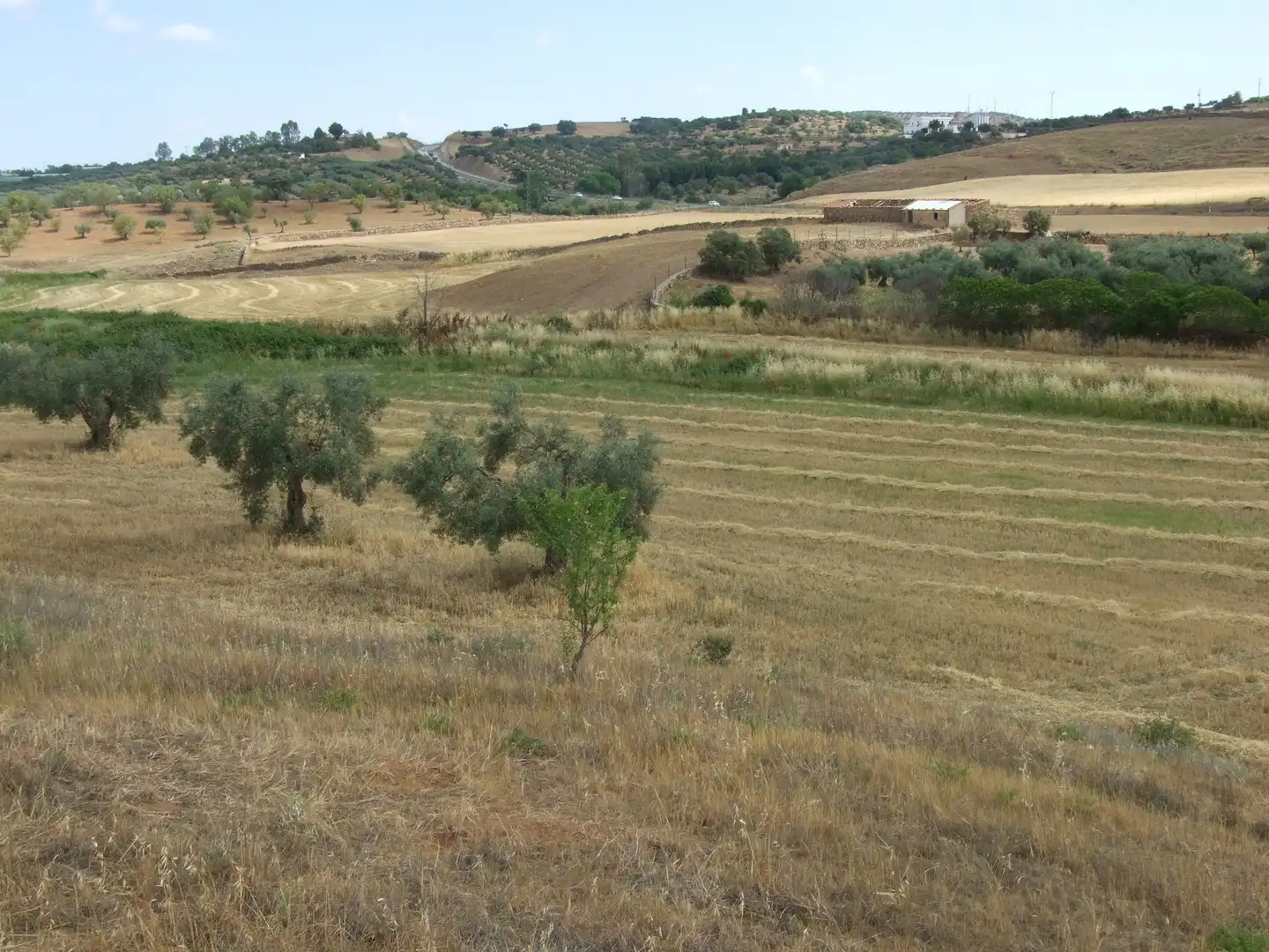 Terreni e lotti in vendita a Zafra, imagen 3