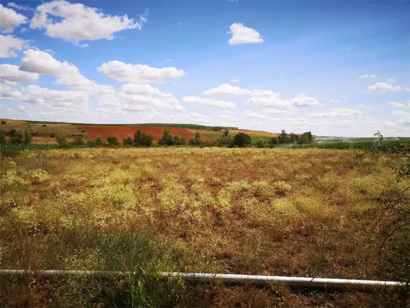 Terreno en venta en Pajares de los Oteros, León