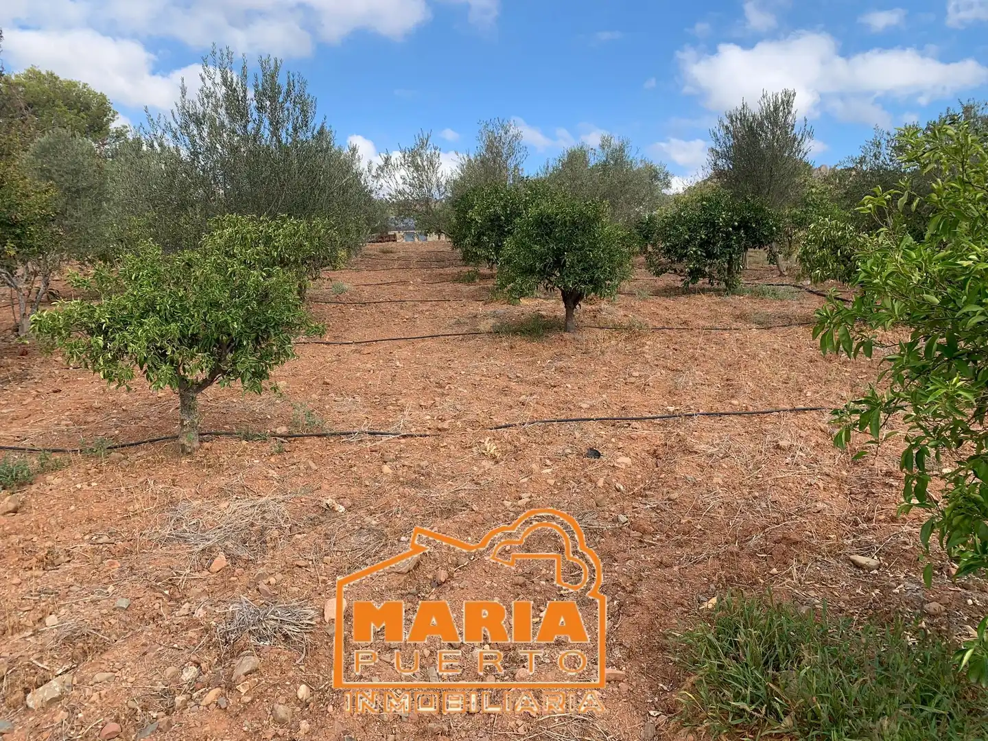 Terrenys i solars en venda a Campanillas, imagen 6