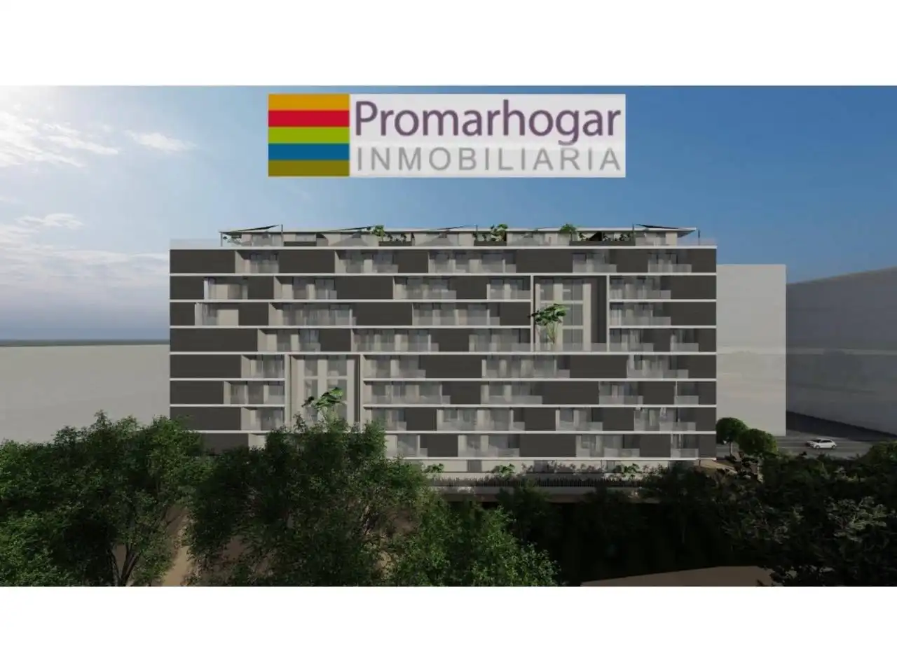 Rural land for sale in Calle Limonar, imagen 2