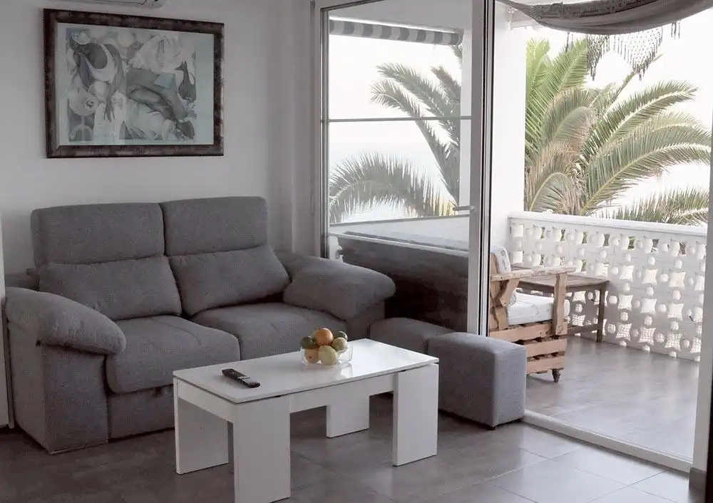 Sala d'estar de Apartament en venda en Alcanar amb Aire condicionat i Terrassa