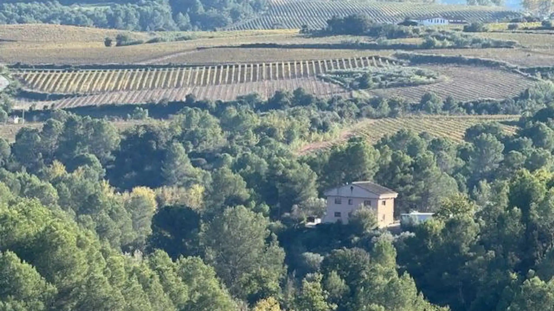 Casa o chalet en venta en Sant Llorenç d'Hortons con Jardín privado