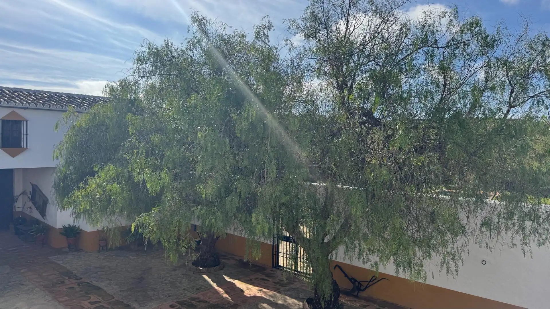 Jardín de Finca rústica en venta en Teba con Aire acondicionado, Jardín privado y Piscina