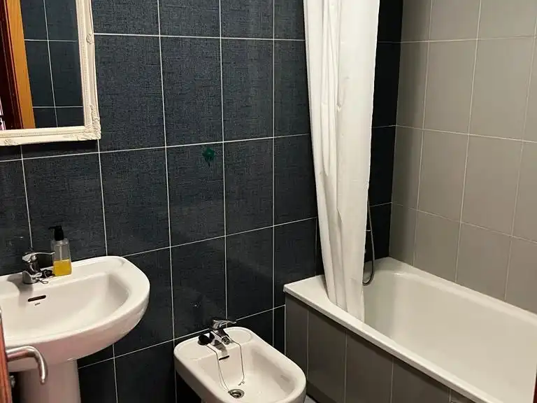 Baño de Apartamento de alquiler en Casco Antiguo