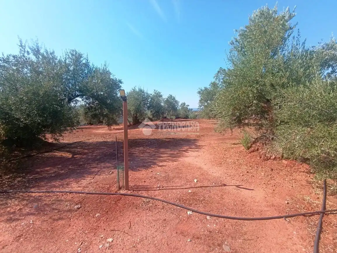 Finca rústica en venta en Vilches