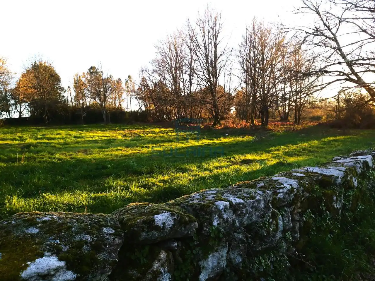 Terreni e lotti in vendita a Esgos, imagen 3