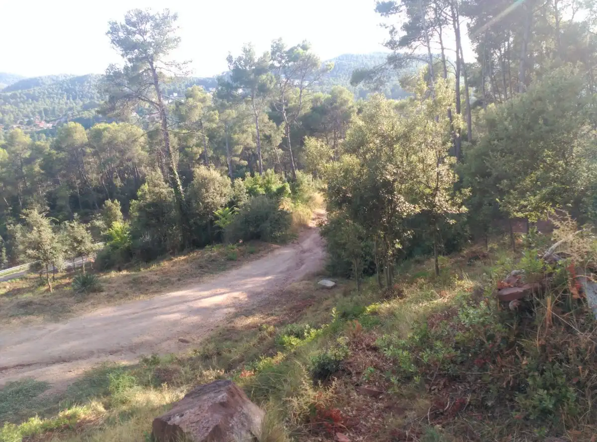 Terreni e lotti in vendita a Corbera de Llobregat, imagen 3
