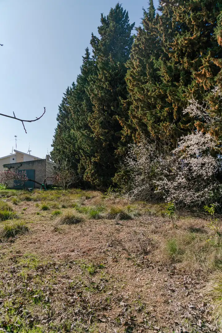 Finca rústica en venda en Pedrola amb Jardí privat, Terrassa i Moblat