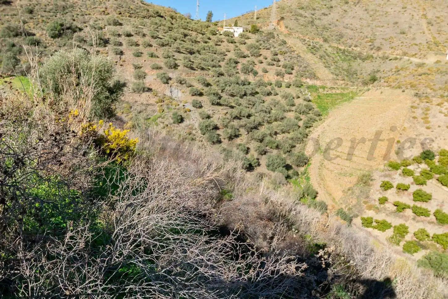 Terreno rústico en venta en Avda Pescia - Ctra de Frigiliana, imagen 4