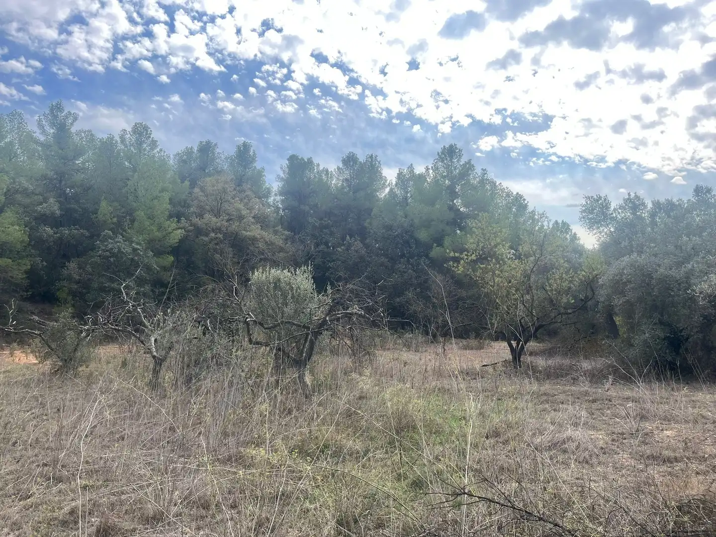 Rural land for sale in Horta de Sant Joan, imagen 2