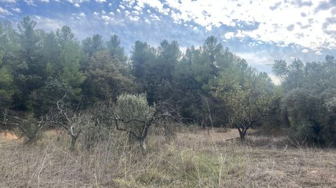 Finca en Horta de Sant Joan, imatge 2